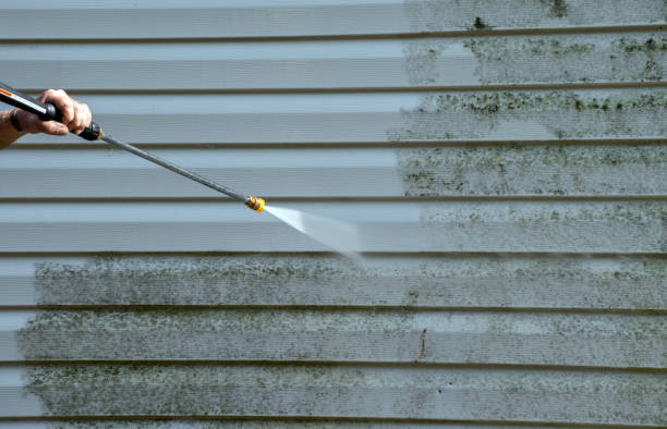 Best Roof Pressure Washing  in Northwoods, MO