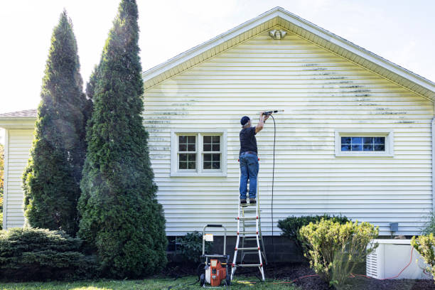Best Roof Pressure Washing  in Northwoods, MO
